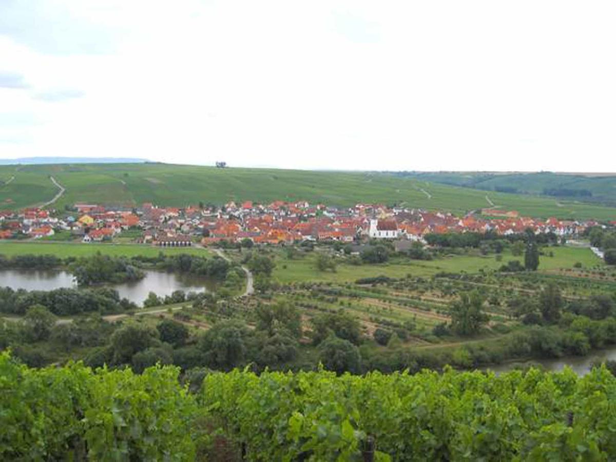 Ferien- Und Winzerhof Ute Braun Lägenhet Nordheim am Main Exteriör bild