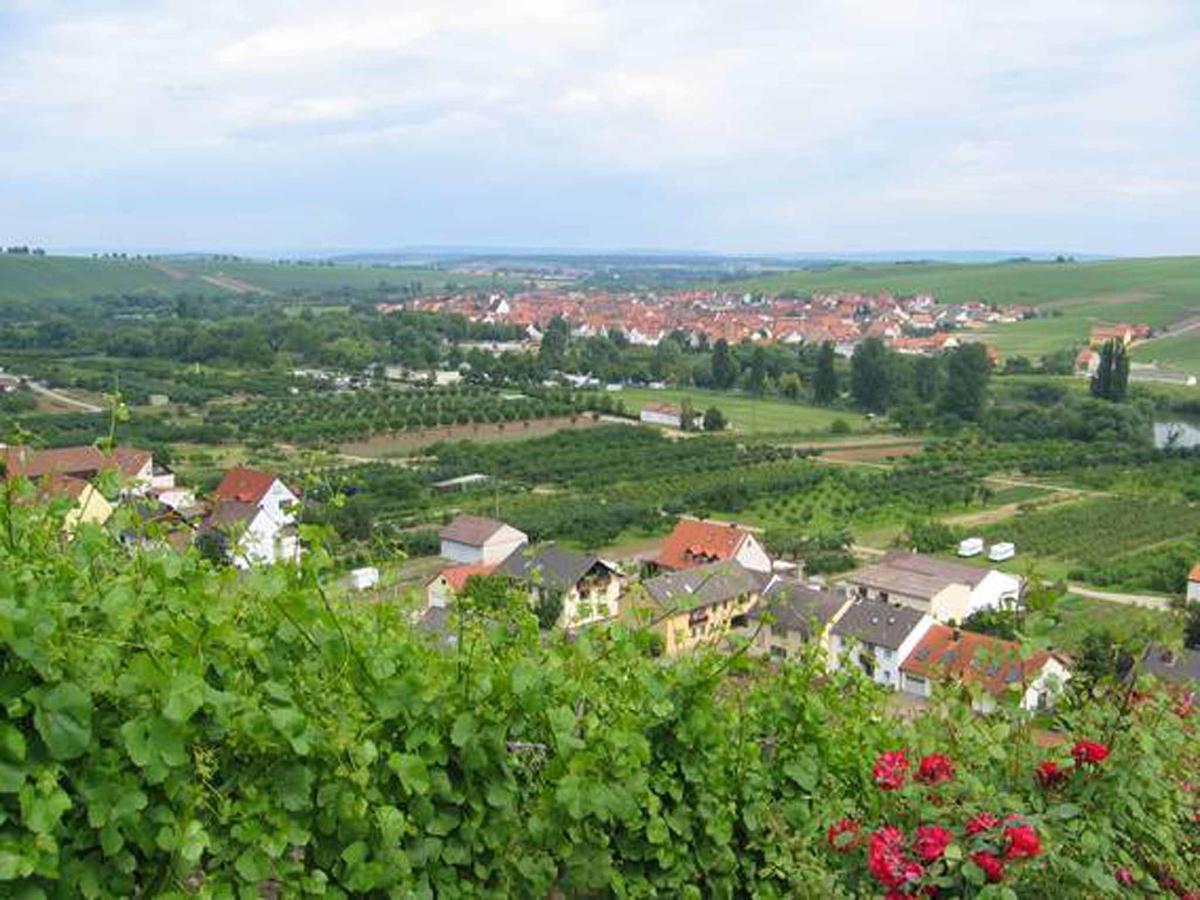 Ferien- Und Winzerhof Ute Braun Lägenhet Nordheim am Main Exteriör bild